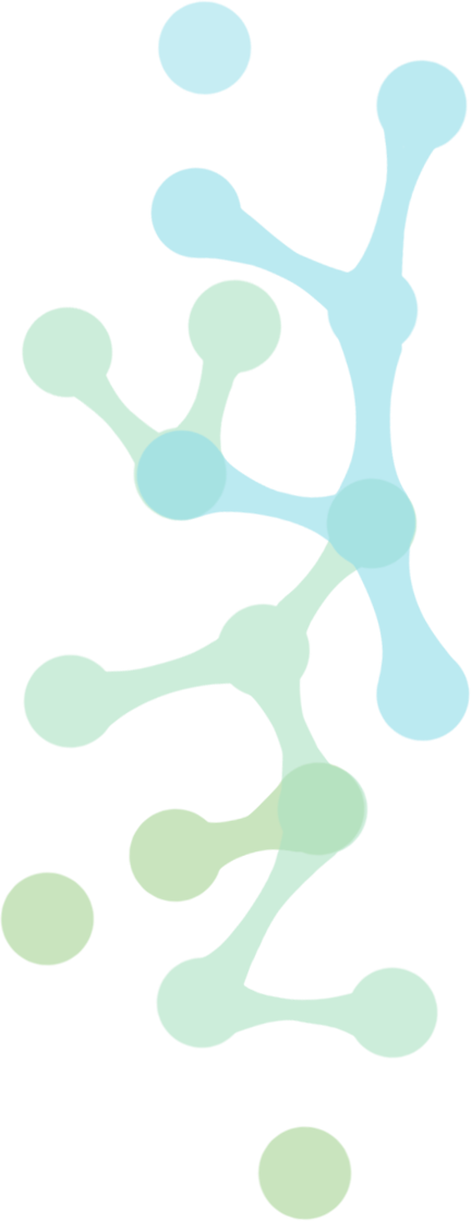 web 6
